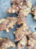 產(chǎn)地直發(fā)云南小黃姜新鮮生姜黃姜調味料新鮮蔬菜生鮮 3斤 裝 曬單實(shí)拍圖