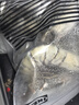 海速達 鮮活船凍黑虎蝦 凈重2斤18-20只 特大蝦新鮮速凍老虎蝦 海鮮水產(chǎn) 曬單實(shí)拍圖