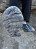 阿迪達(dá)斯yeezyfoam水泥灰椰子夏季清涼運(yùn)動(dòng)洞洞鞋IE4931UK1044.5 曬單實(shí)拍圖