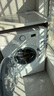 美的（Midea）滾筒洗衣機全自動(dòng)家用 MG80V01JPY 8公斤超薄 巴氏除菌 三重洗滌守護 以舊換新 家電國家補貼20% 曬單實(shí)拍圖