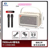 YTFY柏林之聲Q55音響k歌家用便攜式露營大功率唱歌手提吉他音箱帶話筒 主圖款【Q55-象牙白】炫彩燈效+可連吉他+雙話筒 曬單實拍圖