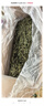 CARNO卡諾頭茬曬干提摩西草精選提草段兔草荷蘭豬龍貓牧草500g 曬單實拍圖