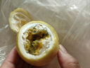 京鮮生廣西欽蜜9號黃金百香果3斤凈重45-60g /24-36個(gè)生鮮水果 源頭直發(fā) 曬單實(shí)拍圖