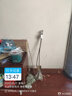 綠化苗木 西府海棠 垂絲海棠 北美海棠樹(shù)苗 海棠花苗 高桿海棠苗 西府海棠2公分 不含盆 曬單實(shí)拍圖