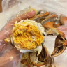 【活蟹】陽澄戰(zhàn)地大閘蟹 鮮活大螃蟹公蟹母蟹 海鮮水產(chǎn)生鮮禮盒 公4.5-4.8兩母3.5-3.8兩4對8只 曬單實拍圖