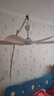 美的（Midea） 小吊扇小型電風(fēng)扇蚊帳扇家用學(xué)生宿舍風(fēng)扇床上風(fēng)扇輕音電風(fēng)扇吊式小電扇 風(fēng)扇踏青放價 FC45-EB 機械旗艦款 曬單實拍圖