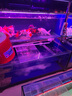 倍舒特眠眠褲 棉柔夜用防漏褲型衛生巾M-L碼10條80-130斤京東自營(yíng)安睡褲 曬單實(shí)拍圖
