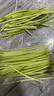 京喜加菜新鮮蒜苔生鮮蔬菜即食涼拌蒜苔 【嘗鮮】1斤 曬單實(shí)拍圖