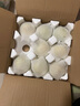 京鮮生 河北青翠蜜梨 凈重4.5斤 單果250g+ 青皇冠梨 生鮮水果 源頭直發(fā) 曬單實(shí)拍圖
