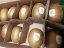 佳沛（zespri）新西蘭陽(yáng)光金果10個(gè)裝單果重約85-103g 水果 獼猴桃 源頭直發(fā) 曬單實(shí)拍圖
