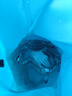 臻佑（Grsaed）可折疊打水桶釣魚(yú)戶(hù)外裝魚(yú)桶手提小水桶圓桶 5L藍  曬單實(shí)拍圖