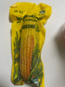佟創(chuàng  )東北黃糯玉米棒 新鮮甜糯玉米棒 代餐輕食真空包裝黏粘玉米 黃糯玉米220g*10棒/箱 曬單實(shí)拍圖