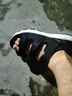 斯凱奇（Skechers）涼鞋男士秋季外穿運動涼拖鞋男鞋平底踩屎感軟底沙灘鞋237586 曬單實拍圖