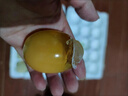 I金堂五鳳溪黃包蛋四川皮蛋廣安土特產(chǎn)松花蛋鴨蛋溏心黃心傳統(tǒng)工藝 鴨皮蛋批發(fā)40個(gè)凈重70-80克 曬單實(shí)拍圖