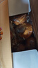 三只松鼠無(wú)蔗糖堅果仁手撕面包1.1kg 早餐小面包吐司蛋糕代餐飽腹整箱點(diǎn)心 曬單實(shí)拍圖