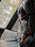 maxicosi嬰幼兒童安全座椅汽車用0-4歲isize ADAC Mica360Pro石墨灰 曬單實拍圖
