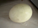 玉菇甜瓜冰淇淋現摘正宗新鮮水果整箱當季水果香瓜冰淇淋 【超值裝】 3斤(凈重2.7斤) 曬單實(shí)拍圖
