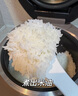蘇泊爾（SUPOR）旋焰釜蓬蓬煲遠紅外電飯煲1-8人4L大容量不粘家用多功能電壓力煲智能IH電飯鍋煮飯鍋F40A81 曬單實(shí)拍圖