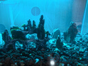 JUWEL魚(yú)缸造景假山石水族箱裝飾仿真假山創(chuàng  )意擺件用品大中小號多款小魚(yú) 江山如畫(huà)（青苔） 88888 88888 曬單實(shí)拍圖
