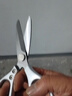 薩帝朗德國進(jìn)口日本日本福岡工業(yè)級強力進(jìn)口剪刀廚房家用裁縫剪子不銹鋼 福岡-【4019工業(yè)級剪刀】 曬單實(shí)拍圖