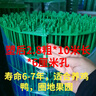 祿昇琪（LUSHENGQI）鐵絲網(wǎng)荷蘭網(wǎng)防護網(wǎng)養殖圍網(wǎng)隔離網(wǎng)圍欄網(wǎng)2.8mm*1.2米高*10米長(cháng) 曬單實(shí)拍圖