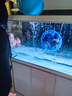 森森（SUNSUN）大型魚缸底過濾水族箱客廳家用落地玻璃生態(tài)金魚缸 【實(shí)時(shí)溫顯+燈控】珍珠白 1.2米長35cm寬 曬單實(shí)拍圖