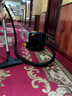 Vacmaster美國衛瑪仕臥式吸塵器家用大吸力家庭大功率靜音型吸塵器商用大功率酒店賓館公司辦公室地毯吸塵器 15L靜音型吸塵器家用 曬單實(shí)拍圖