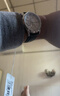 卡西歐（CASIO）EDIFICE EFR-S108D 學(xué)生手表 商務(wù)時(shí)尚男士手表石英手表 EFR-S108D-2AVUPR 曬單實(shí)拍圖