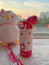 史努比（SNOOPY）兒童保溫杯學(xué)生上學(xué)專用水杯食品級316吸管隨行杯大容量便攜水壺 【升級】蘋果紅520ML【一杯三飲】 曬單實拍圖