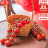 京鮮生串收櫻桃番茄 散串禮盒1.5kg 現摘現發(fā)西紅柿  非轉基因 源頭直發(fā) 曬單實(shí)拍圖