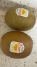 佳沛（zespri）新西蘭 陽光金奇異果12粒禮盒特大果單果約122-146g 獼猴桃 水果 曬單實拍圖