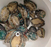 江船長 冷凍鮑魚 凈重160g(18-22粒)袋裝 火鍋燒烤食材 海鮮生鮮 曬單實拍圖