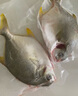 1號會(huì )員店（One's Member）甄選海南二去金鯧魚(yú)去鰓去內臟生鮮魚(yú)類(lèi) 海鮮水產(chǎn) 700g/2條裝 曬單實(shí)拍圖