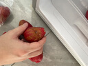 哆莫香海南黑金剛蓮霧果新鮮熱帶水果禮盒樹(shù)上熟一級蓮霧果節日禮盒裝 甄選A級果2斤【精美禮盒】 曬單實(shí)拍圖