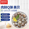 鮮京采 鮮活美貝 17-22粒/斤 凈重5斤 蛤蜊花蛤生鮮中秋 源頭直發(fā) 曬單實拍圖