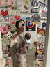 ERGObaby二狗背帶嬰兒抱娃神器四季透氣外出旅行遛娃神器breeze解放雙手 【店長(cháng)力薦】breeze透氣款珍珠灰 曬單實(shí)拍圖