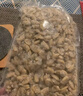 蟹君寶花甲肉鮮活花甲剝?nèi)鉄o沙蛤蜊肉蟶子肉黃蜆子肉花蛤肉海鮮水產(chǎn)商用 大號(hào)花甲肉1500克*1包【保證無沙】 曬單實(shí)拍圖