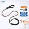 多尼斯（DOGNESS）狗狗牽引繩項(xiàng)圈P鏈拴遛狗繩中大型犬柯基拉布拉多柴犬薩摩耶 灰L 曬單實(shí)拍圖