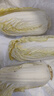 云南高山娃娃菜新鮮當(dāng)季娃娃菜3顆裝新鮮蔬菜生鮮 新鮮娃娃菜1*(3棵)*1包 曬單實拍圖