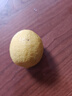 小博農(nóng)場(chǎng)四川安岳黃檸檬 新鮮皮薄多汁鮮檸檬小青檸新鮮水果泡茶切片 10個(gè) 單果60-80g 曬單實(shí)拍圖
