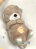 費雪（Fisher-Price）嬰兒玩具安撫玩偶哄睡中秋國慶送禮-音樂安撫酣睡小水獺GHL41 曬單實拍圖