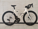 PARDUS瑞豹公路車SPARK SPORT-QED PLUS碳纖維破風(fēng)架電變25新款星火 【碳輪】迷霧白-QED PLUS電變 S（適合身高168-175CM） 曬單實拍圖