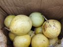 廣西欽蜜9號黃金百香果萬(wàn)澄當季新鮮大果黃皮果奶茶店水果 【1斤 約11-17個(gè)】單果30-45g 曬單實(shí)拍圖