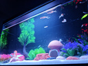 小米魚缸造景套餐仿真沉木造景石魚缸裝飾擺件水族箱造景 蘑菇造景套餐 曬單實(shí)拍圖