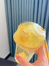 特百惠（Tupperware）晶彩mini塑料杯280ML 男女學(xué)生夏季水杯子兒童雙飲口便攜 奶油黃 曬單實(shí)拍圖