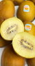 佳沛（zespri）新西蘭  陽(yáng)光金奇異果10粒禮盒巨大果單果約144-175g 水果 獼猴桃 曬單實(shí)拍圖