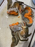 【包活到貨】大號青蟹鮮活紅膏母蟹野生螃蟹中秋過(guò)年海鮮水產(chǎn)禮盒 2斤公蟹（4只） 曬單實(shí)拍圖