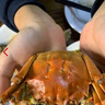 【活蟹】 陽澄姑娘大閘蟹 現(xiàn)貨鮮活特大螃蟹 海鮮水產(chǎn)生鮮禮盒裝 公4.5-4.8兩母3.5-3.8兩10只 曬單實拍圖