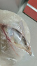 品鮮肴淡水魚(yú)生態(tài)小桂魚(yú)鱖魚(yú)桂花魚(yú)鰲花魚(yú) 漁民捕獲鮮活魚(yú)現殺水產(chǎn)生鮮 凈膛三去250-300g （1條）小桂魚(yú) 曬單實(shí)拍圖