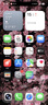 iPhone16 Pro【24期免息】蘋(píng)果16pro 蘋(píng)果手機 雙卡雙待全網(wǎng)通 二手手機 沙漠金色鈦金屬【曬單有禮】 【99新】256G【3期免息+三年店保+豪華禮包】 曬單實(shí)拍圖